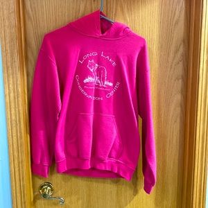 small pink, Palisade, Minnesota hoodie